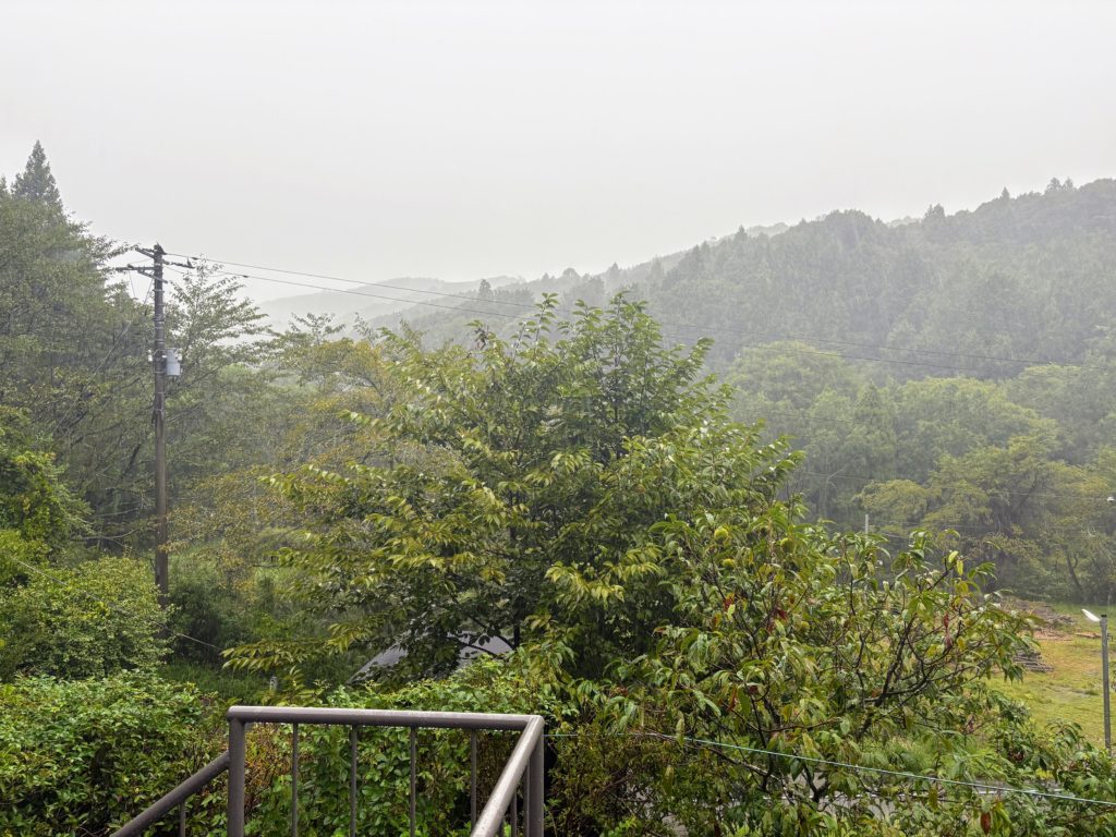 IMG_4127-1024x768 本日、無事に伊豆修善寺へ戻りました。