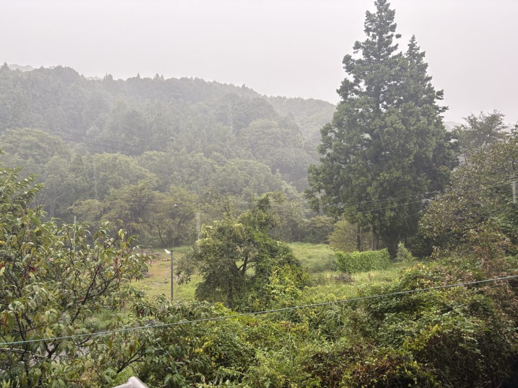 IMG_4128-1024x768 本日、無事に伊豆修善寺へ戻りました。