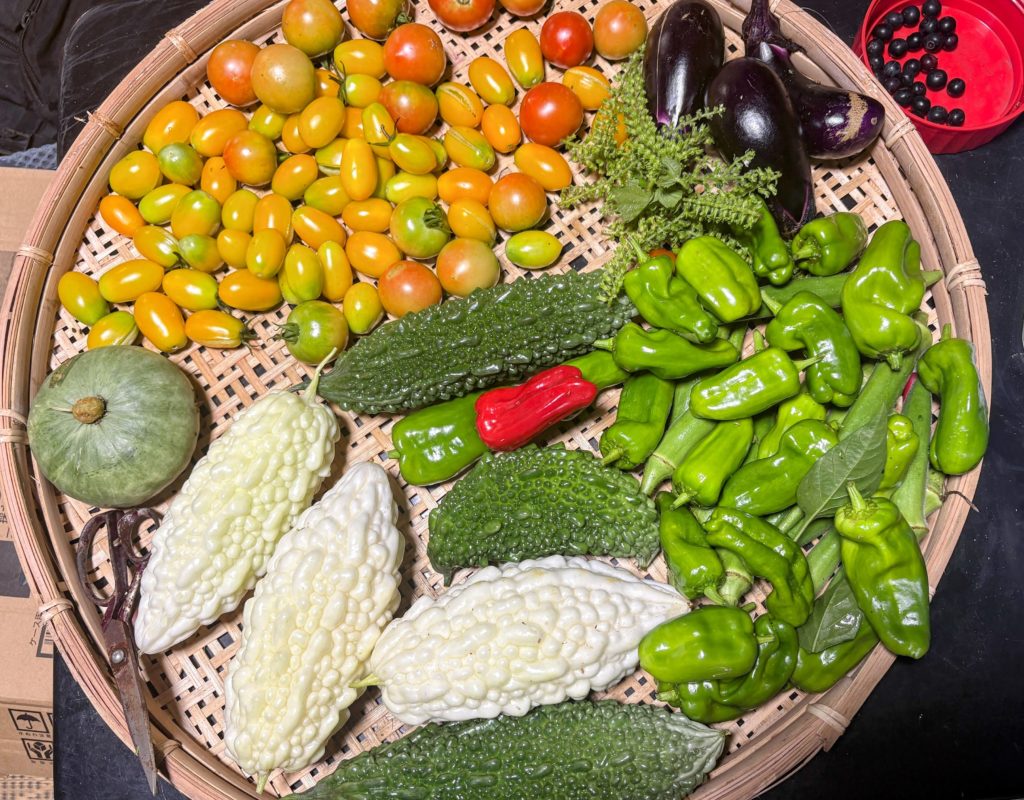 IMG_4129-EDIT-1024x800 本日、無事に伊豆修善寺へ戻りました。