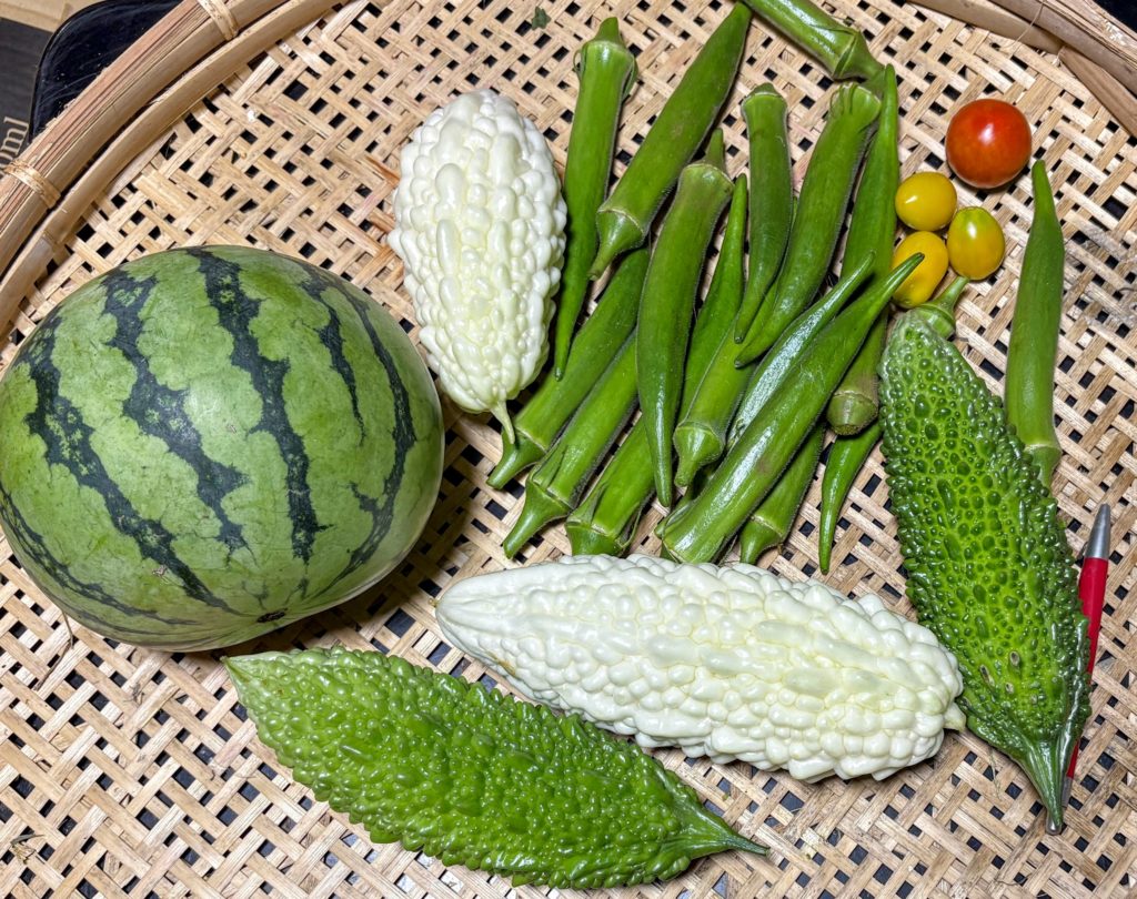 IMG_4237-EDIT-1024x810 農園コンペ