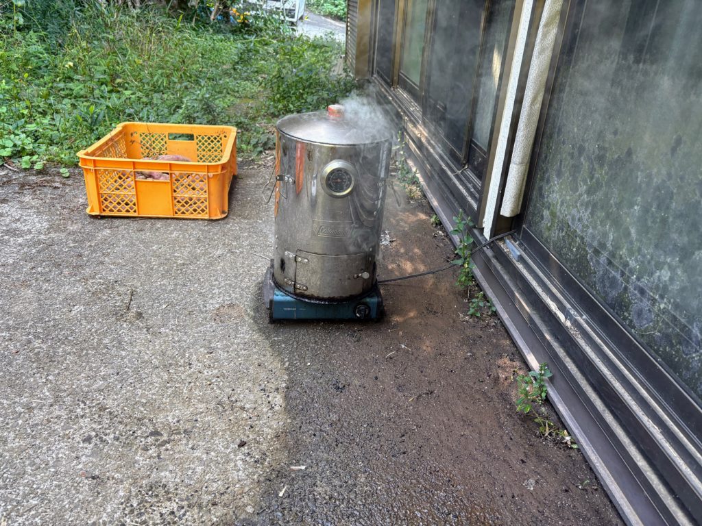 IMG_4274-1024x768 究極の栄養食材「モリンガ」