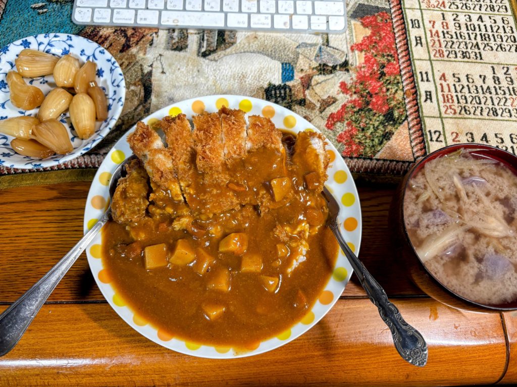 IMG_4308-EDIT-1024x768 開墾地の畑の様子