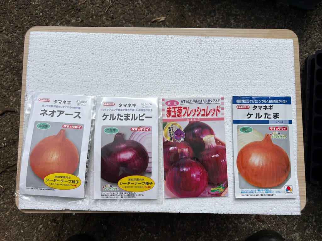 IMG_4345-1-1024x768 玉ねぎの種植え