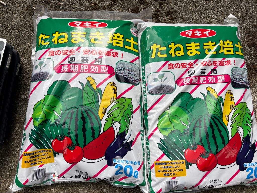 IMG_4348-1024x768 玉ねぎの種植え