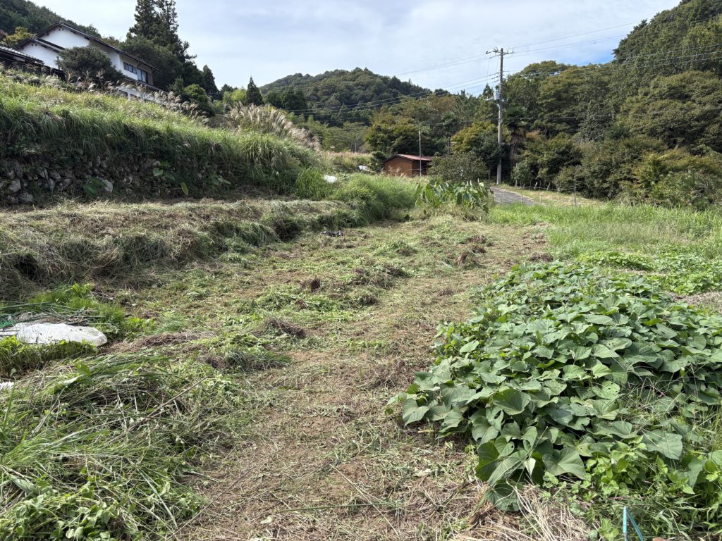 IMG_4390-1024x768 今日も、棚田の草刈り