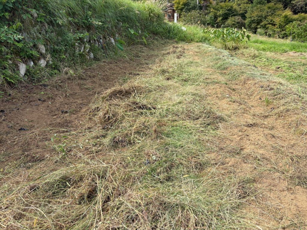 IMG_4392-1024x768 今日も、棚田の草刈り