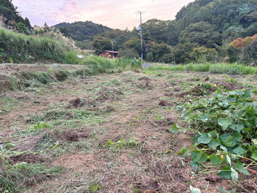 IMG_4396-1024x768 今日も、棚田の草刈り