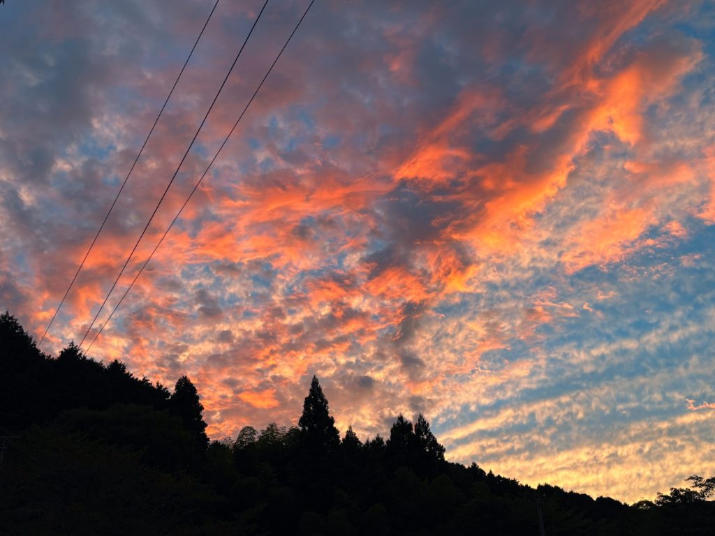 IMG_4401-EDIT-1-1024x768 今日も、棚田の草刈り