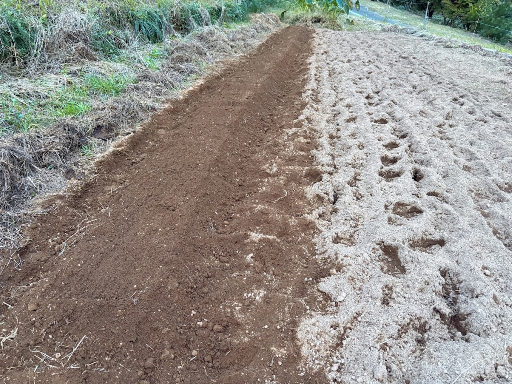 IMG_4517-EDIT-1024x768 伝説のOHTANI DAY