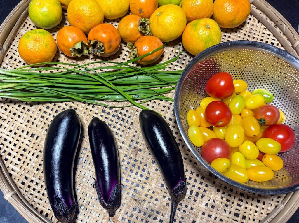 IMG_4520-EDIT-1024x765 今日も一日雨模様