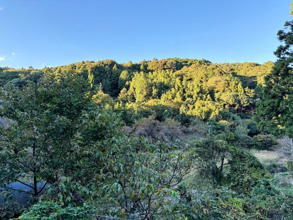 IMG_4561-EDIT-1-1024x768 本日、5日ぶりに修善寺ベースへ戻った