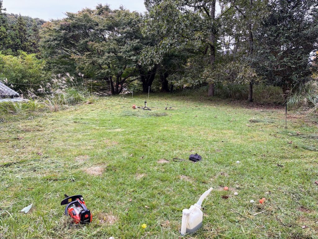 IMG_4602-1024x768 秋ですねぇ