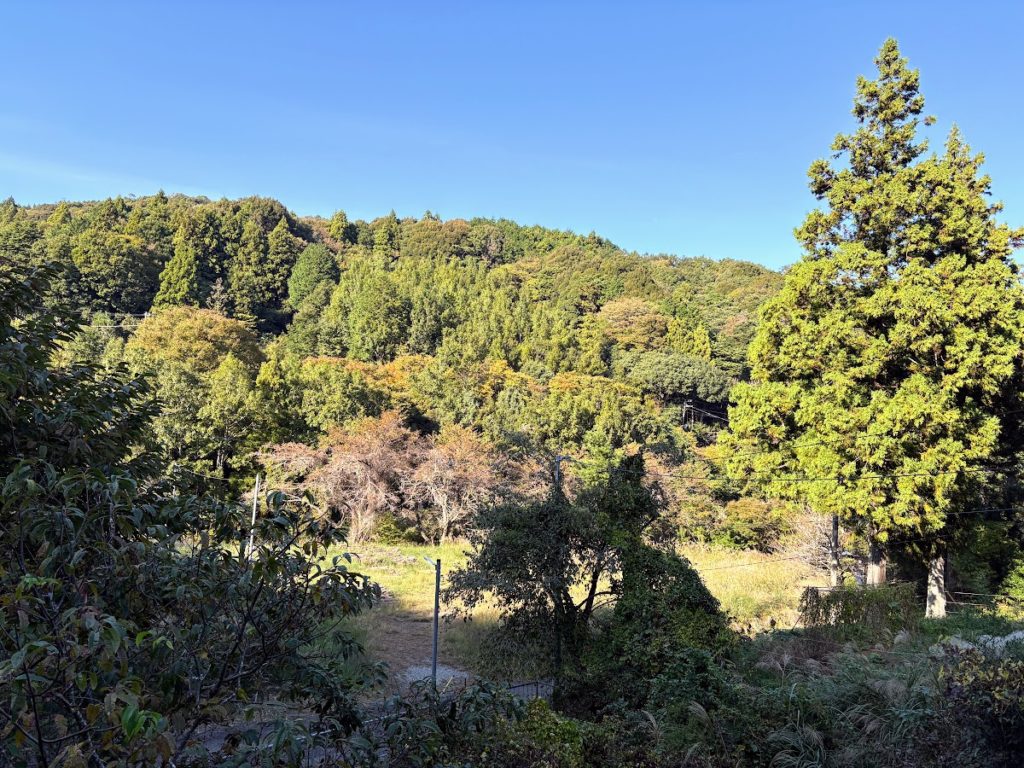 IMG_4608-1024x768 フンザ族の長寿伝説