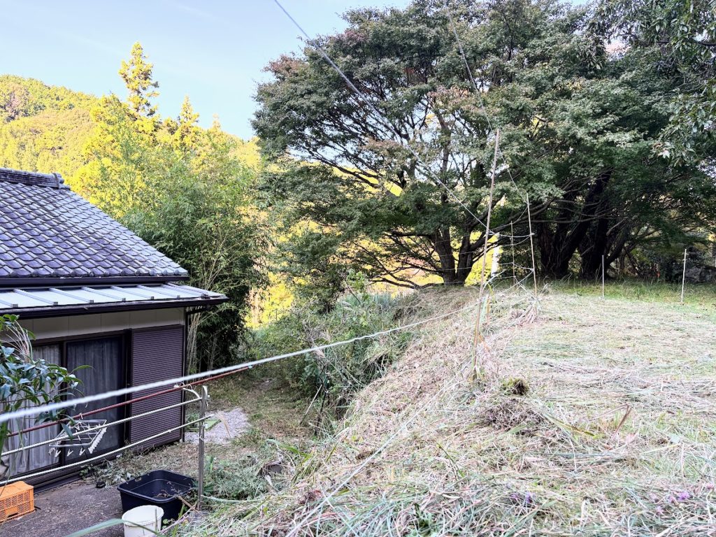 IMG_4610-1024x768 フンザ族の長寿伝説