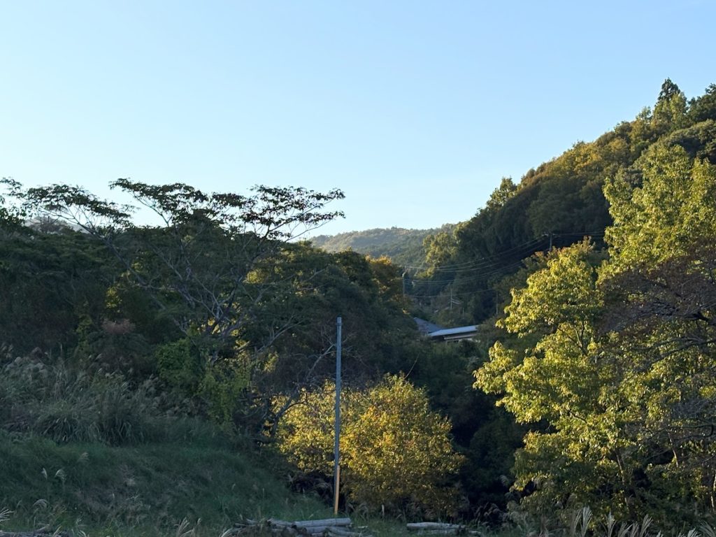 IMG_4613-1024x768 フンザ族の長寿伝説