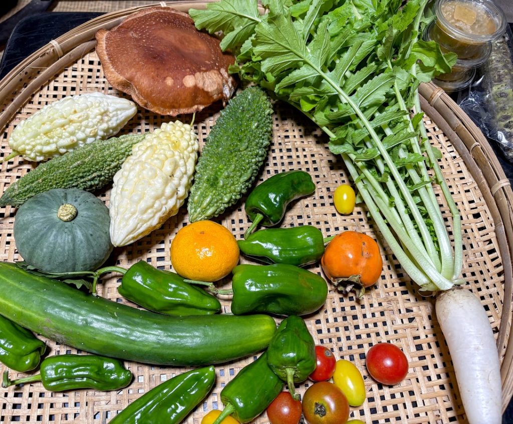 IMG_4615-EDIT-1-1024x847 フンザ族の長寿伝説