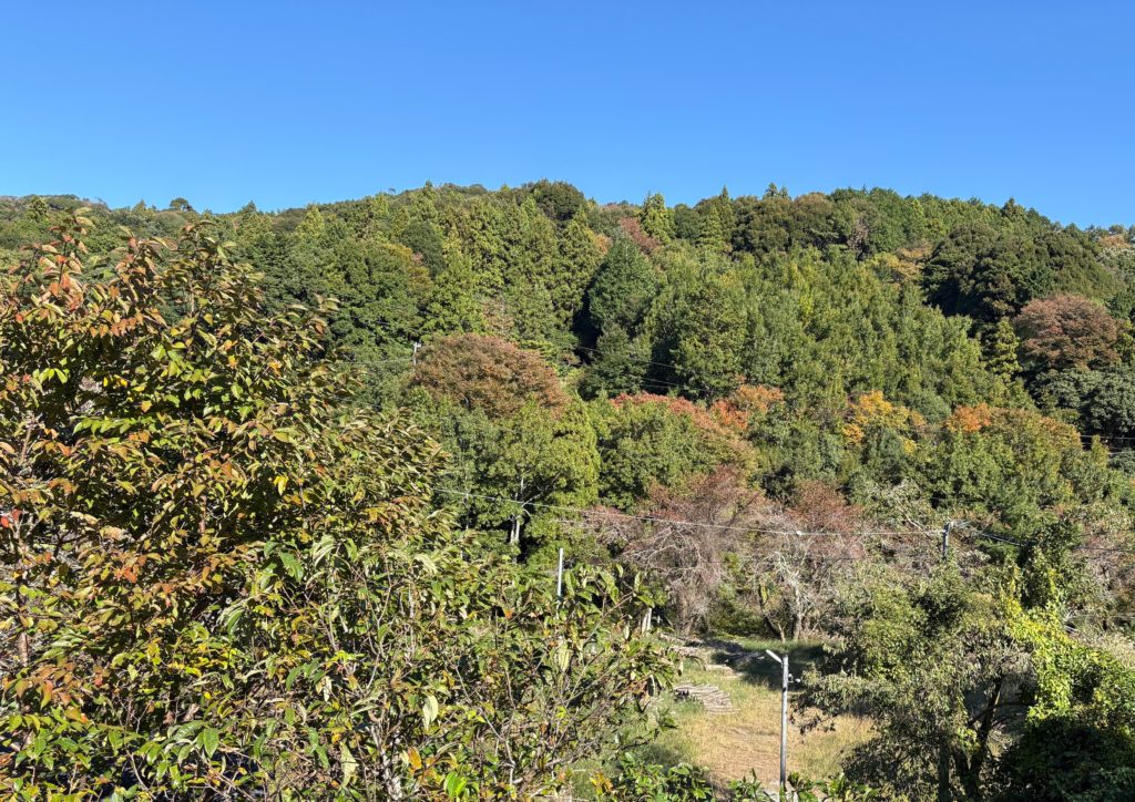 IMG_4649-1024x724 地鎮祭