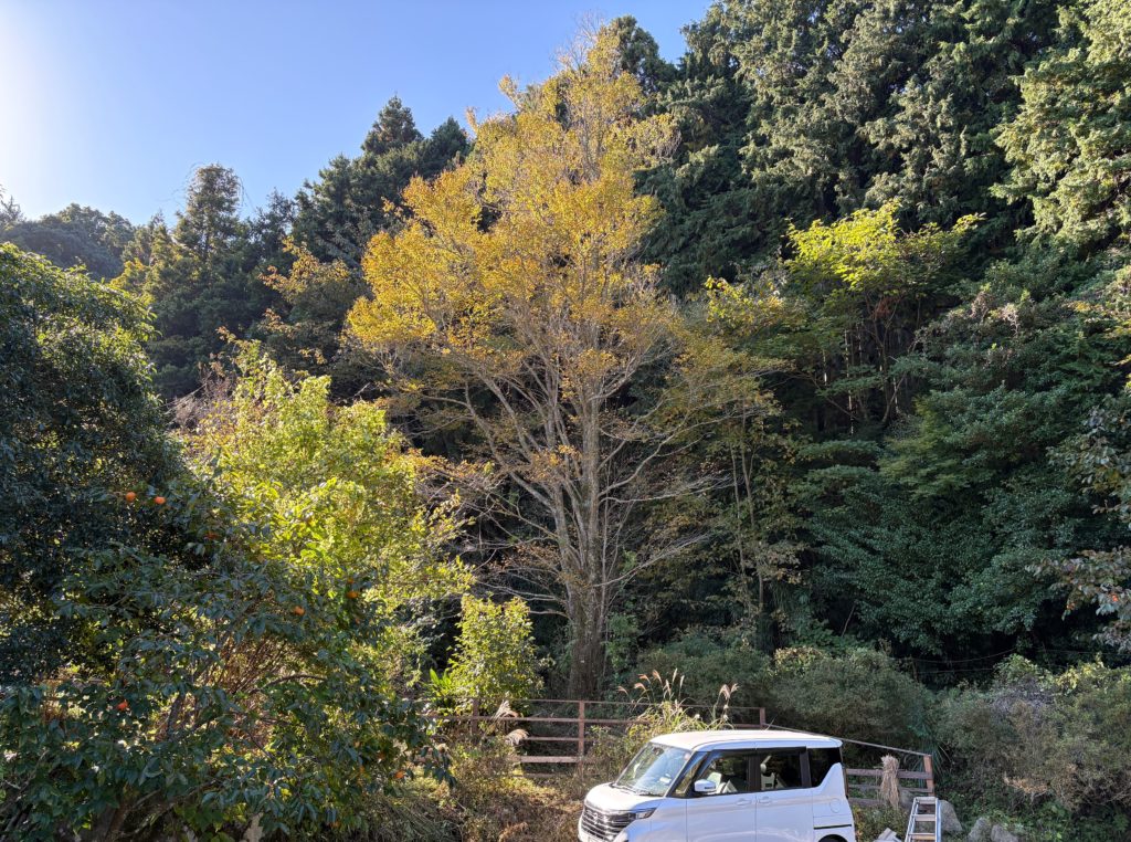 IMG_4651-1024x762 地鎮祭