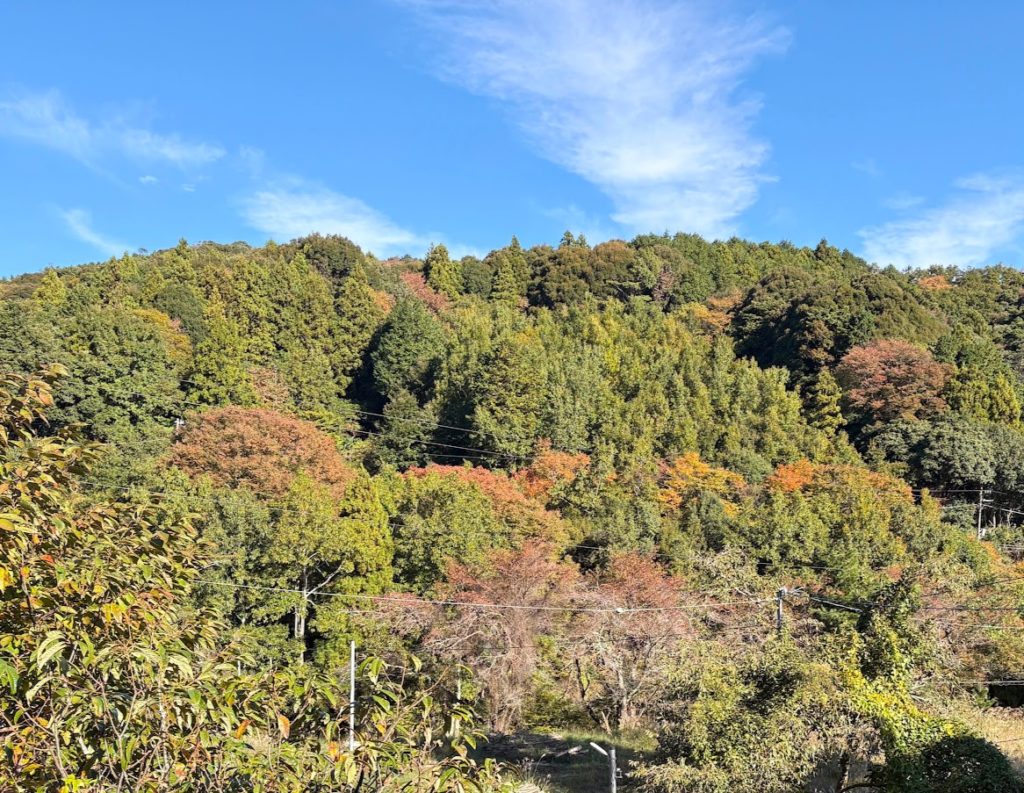 IMG_4684-EDIT-1024x793 感動と興奮をもう一度！