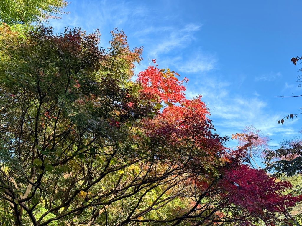 IMG_4693-EDIT-1024x768 感動と興奮をもう一度！