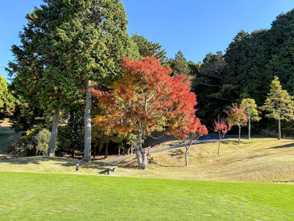 IMG_4720-EDIT-1024x768 農園忘年会コンペ