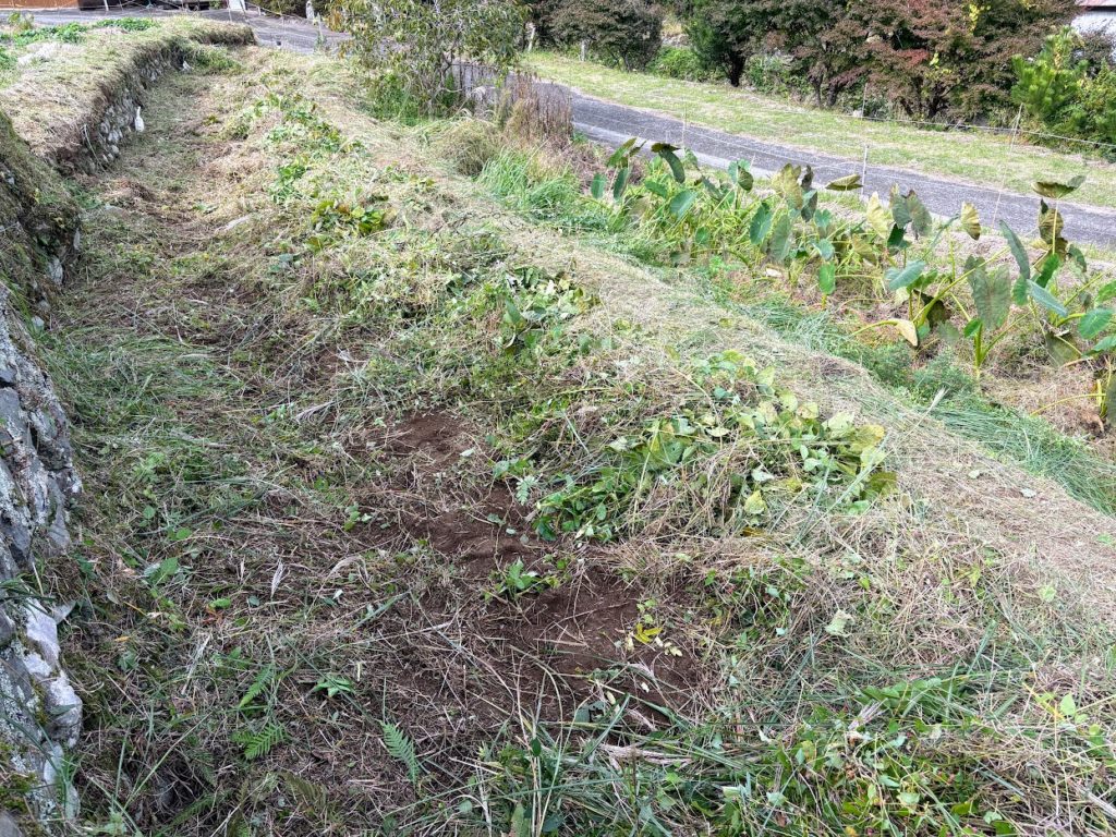 IMG_4721-1024x768 棚田の草刈り＆柿(次郎柿)等の収穫