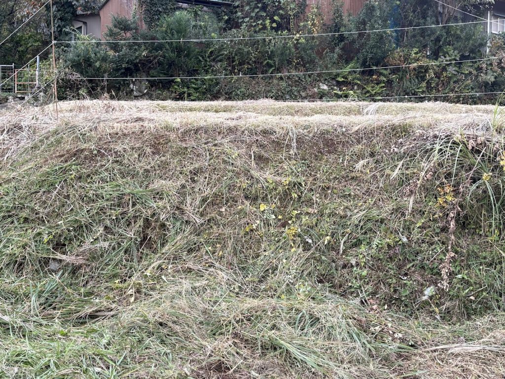 IMG_4745-1024x768 棚田の草刈り＆柿(次郎柿)等の収穫