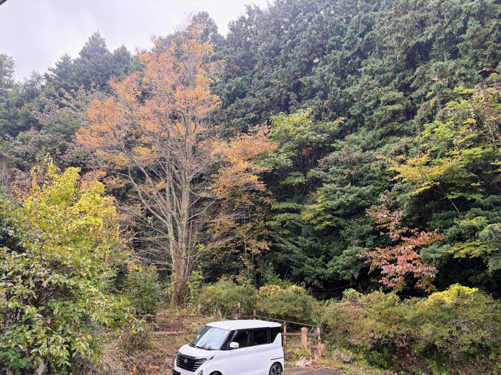 IMG_4770-1024x768 秋雨