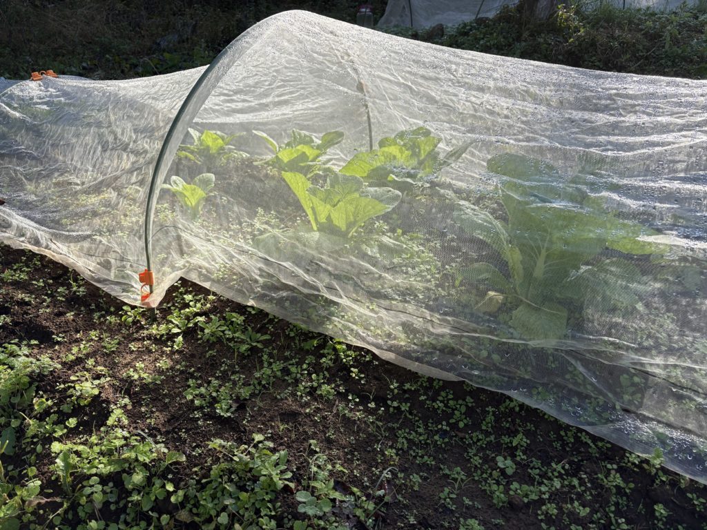 IMG_4813-1024x768 昨日、急遽、修禅寺ベースへ戻りました