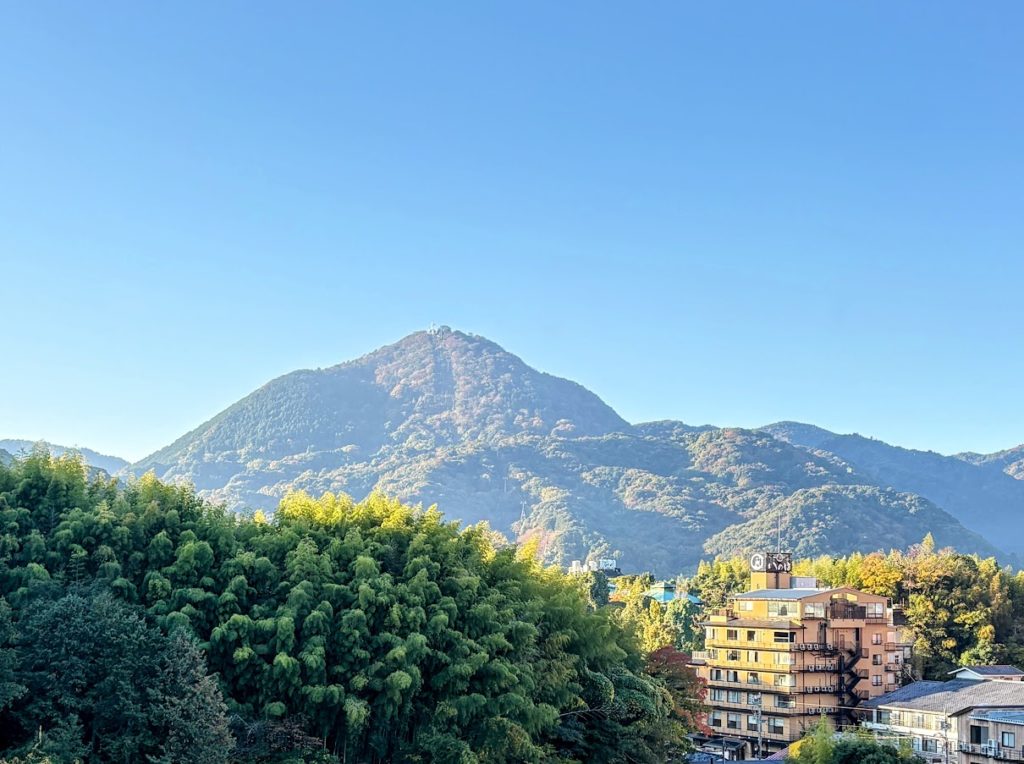 IMG_4879-EDIT-1024x764 農園忘年会コンペ