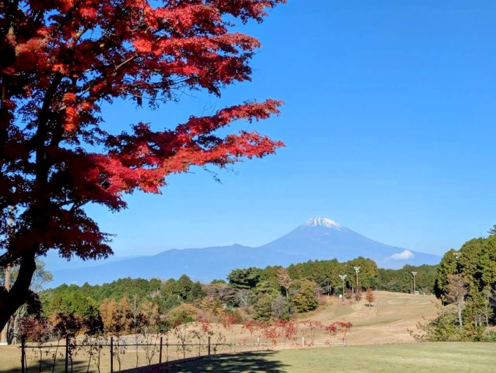 IMG_4894-EDIT-1024x769 農園忘年会コンペ