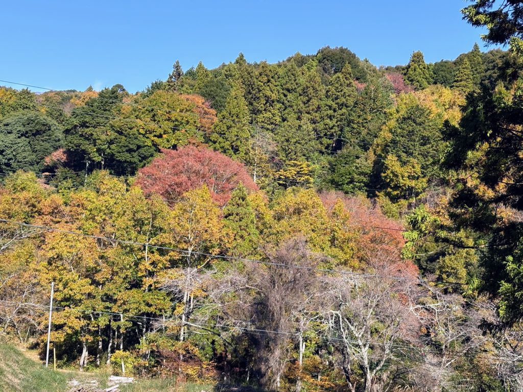 IMG_4922-1024x768 玉葱畑の水遣り