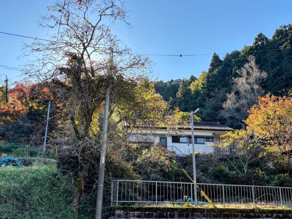 IMG_4953-EDIT-1024x768 すっかり秋ですね