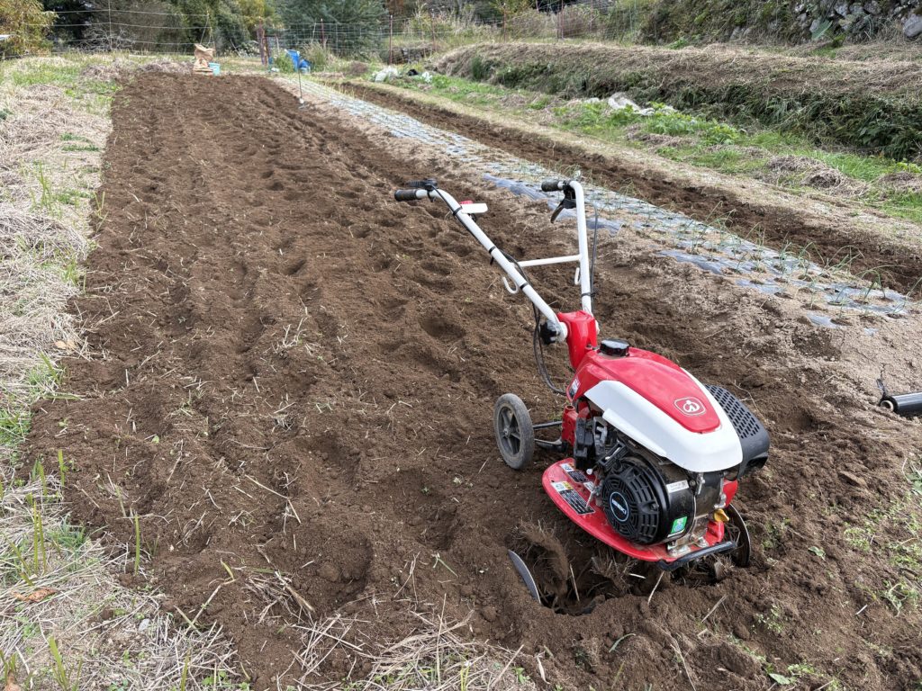 IMG_4962-1024x768 すっかり秋ですね