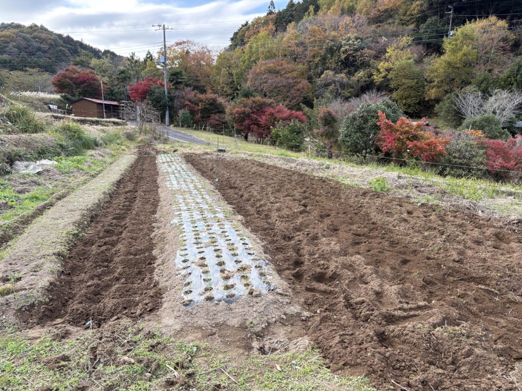 IMG_4965-1024x768 すっかり秋ですね