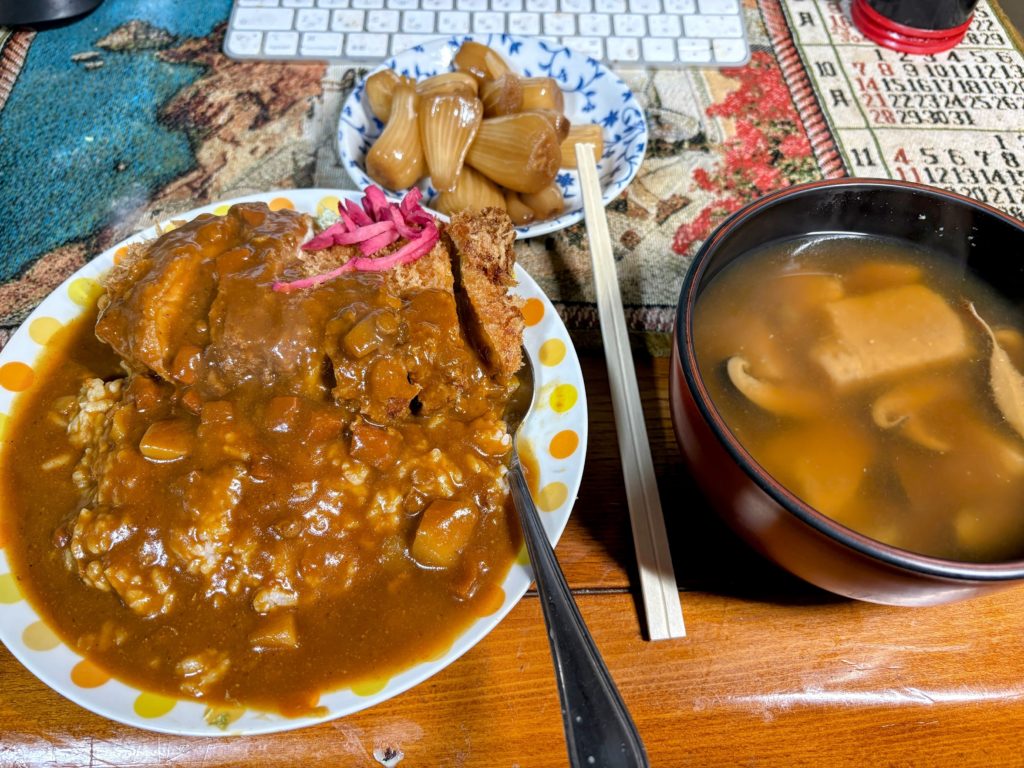 IMG_4986-EDIT-1024x768 ホームセンターで衝動買いした玉葱苗の植え付け