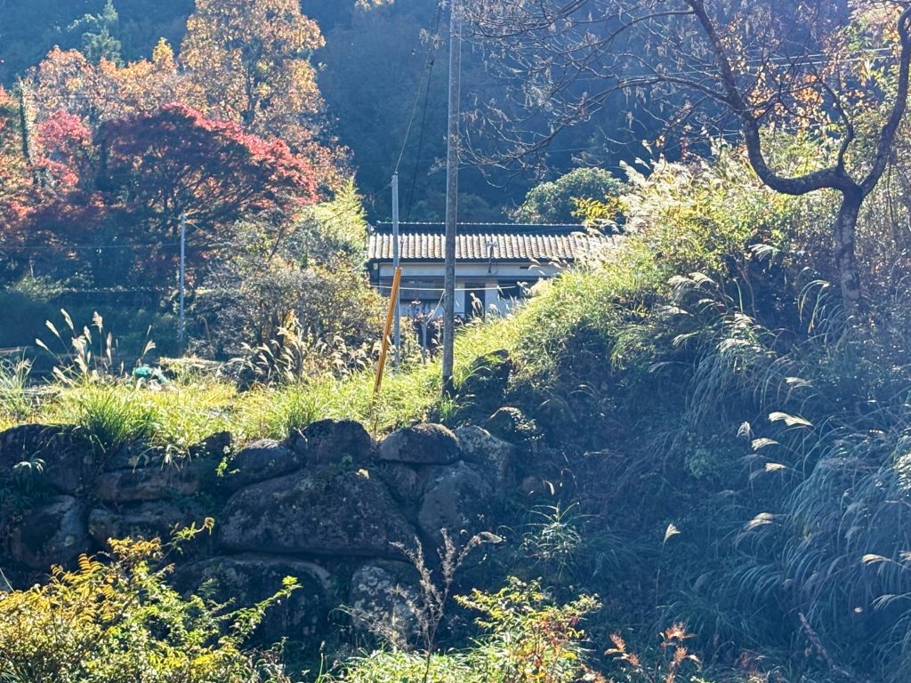 IMG_5001-EDIT-1024x768 太郎と散歩