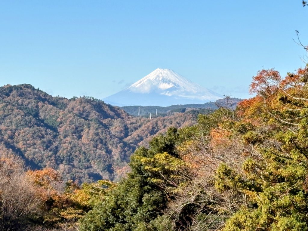 IMG_5112-EDIT-1024x768 １２月期やまびこ会