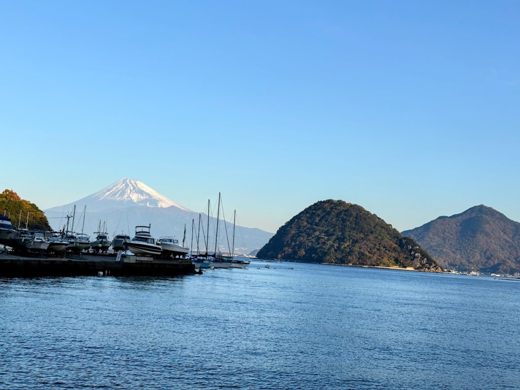 IMG_5163-EDIT-1024x769 本年もあと1か月&ミカンもぎ