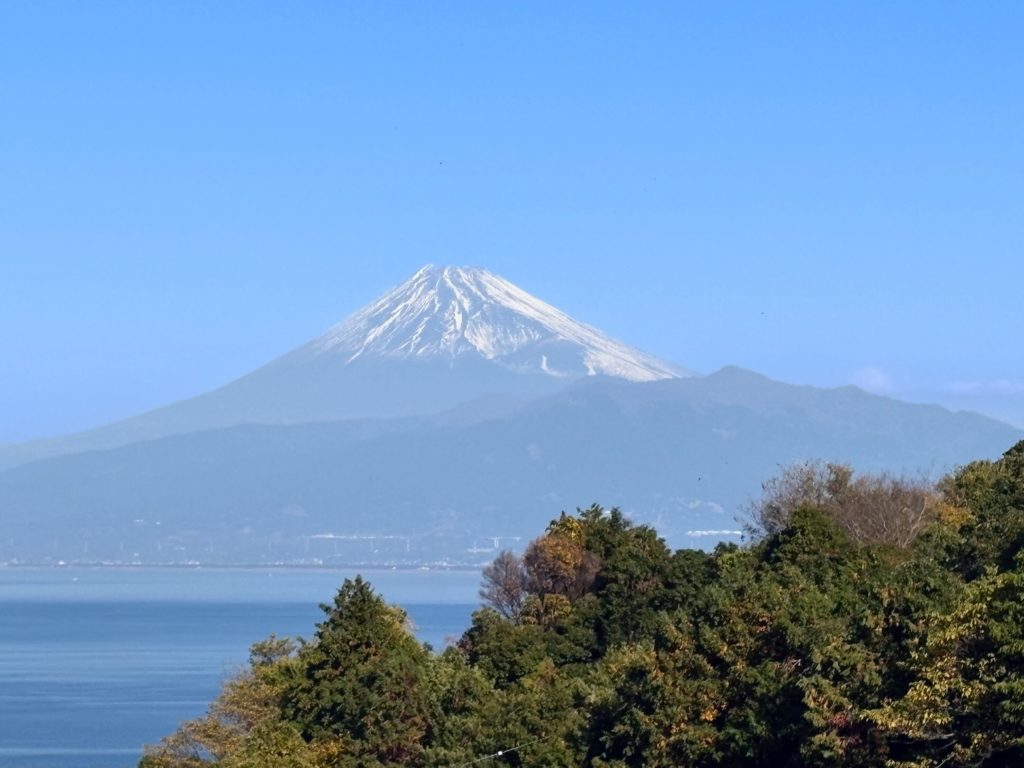 IMG_5204-EDIT-1024x768 今日もみかんもぎ、明日も