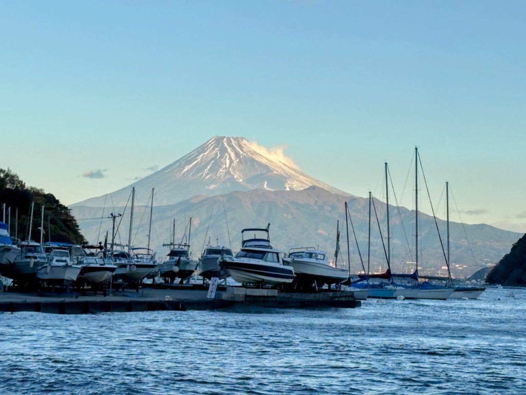 IMG_5292-EDIT-1024x768 今日からまた、みかんもぎ