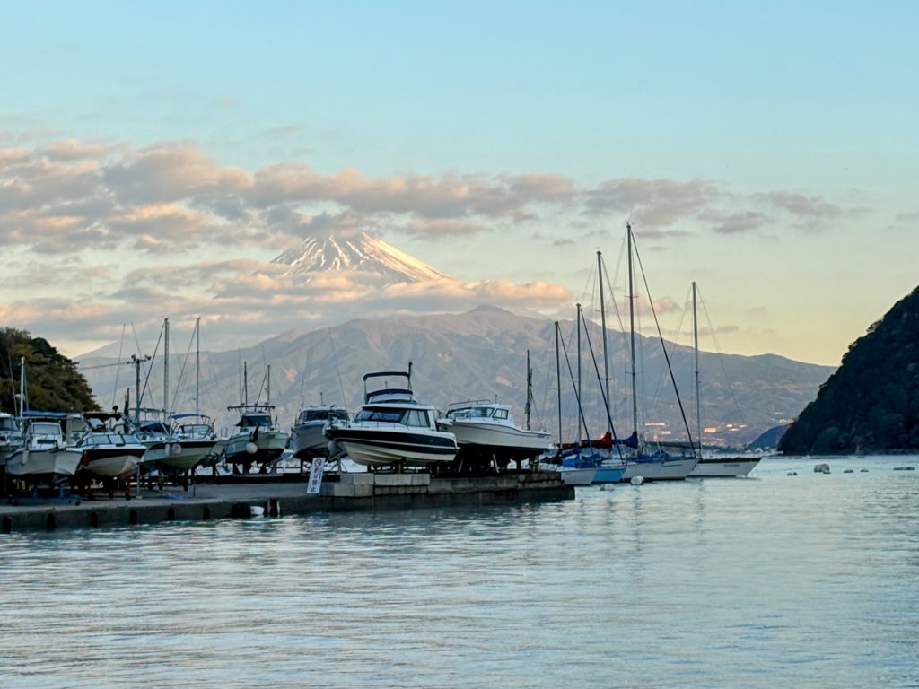 IMG_5311-EDIT-1-1024x768 初霜、でも、みかんもぎ