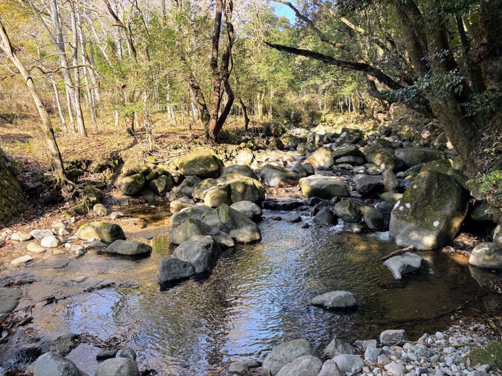 IMG_5347-1024x768 今日から１週間、みかんもぎの手伝いを休みます。