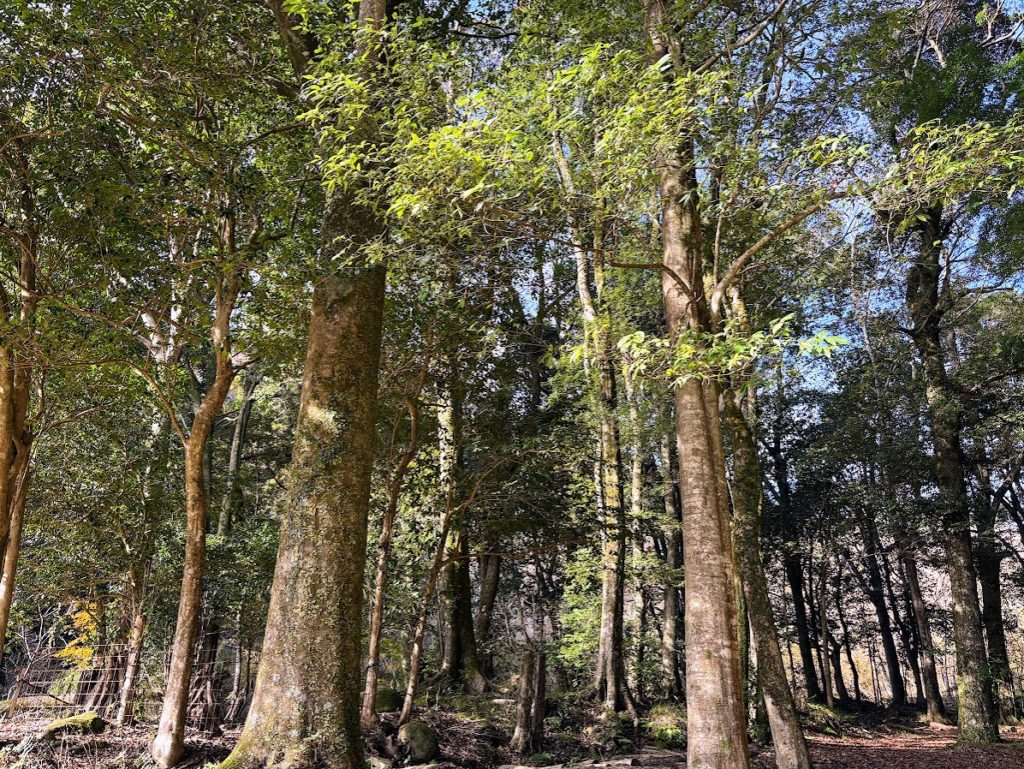 IMG_5387-1024x769 退屈だなぁ！