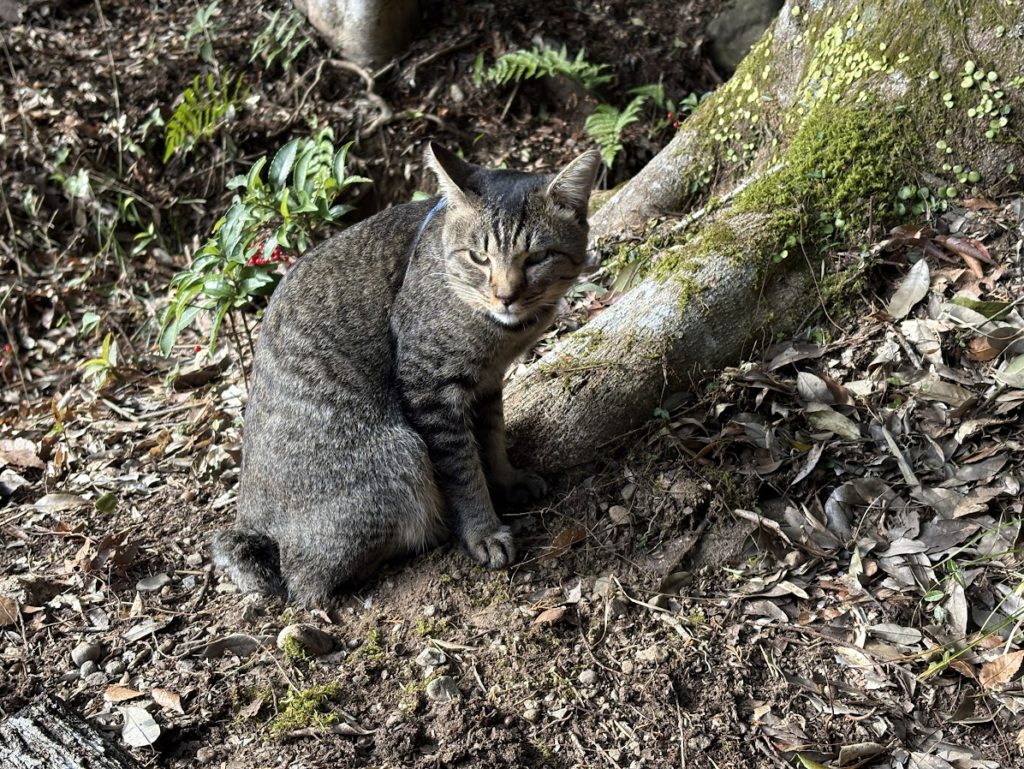 IMG_5395-1024x769 退屈だなぁ！