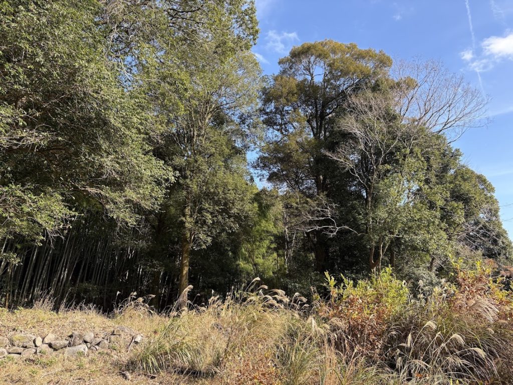 IMG_5406-1024x769 退屈だなぁ！