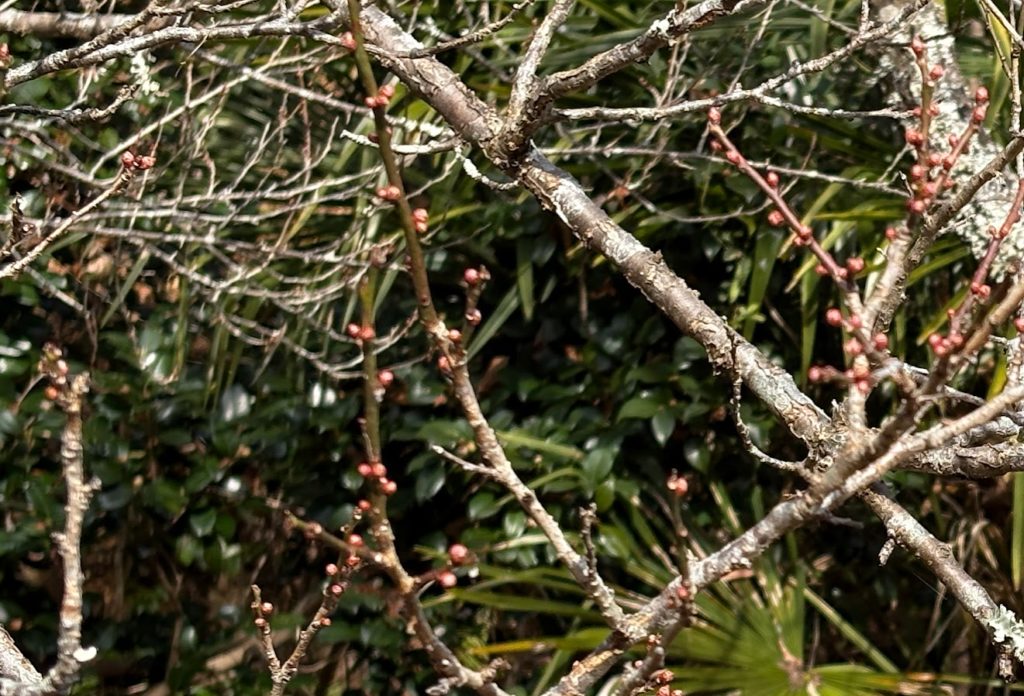 IMG_5431-1024x696 退屈だなぁ！