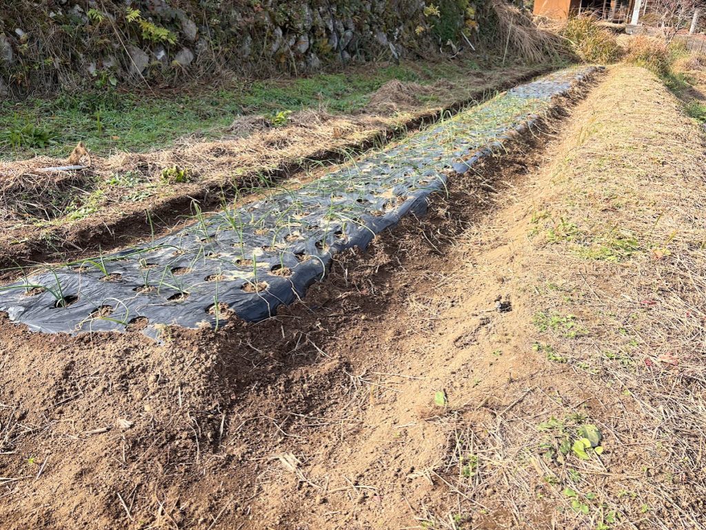 IMG_5434-1024x769 退屈だなぁ！