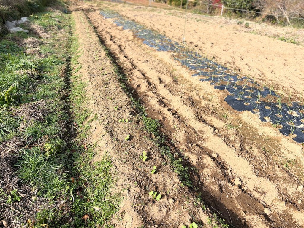 IMG_5435-1024x769 退屈だなぁ！