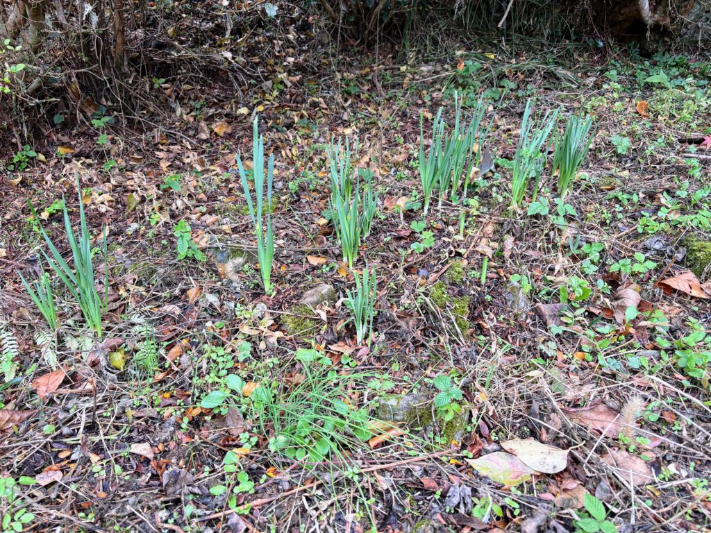 IMG_5442-1024x768 退屈だなぁ！